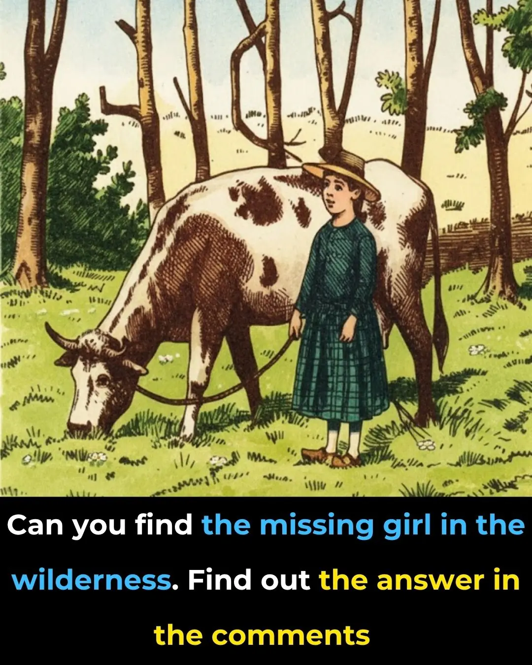 Can You Find The Missing Girl in the Wilderness