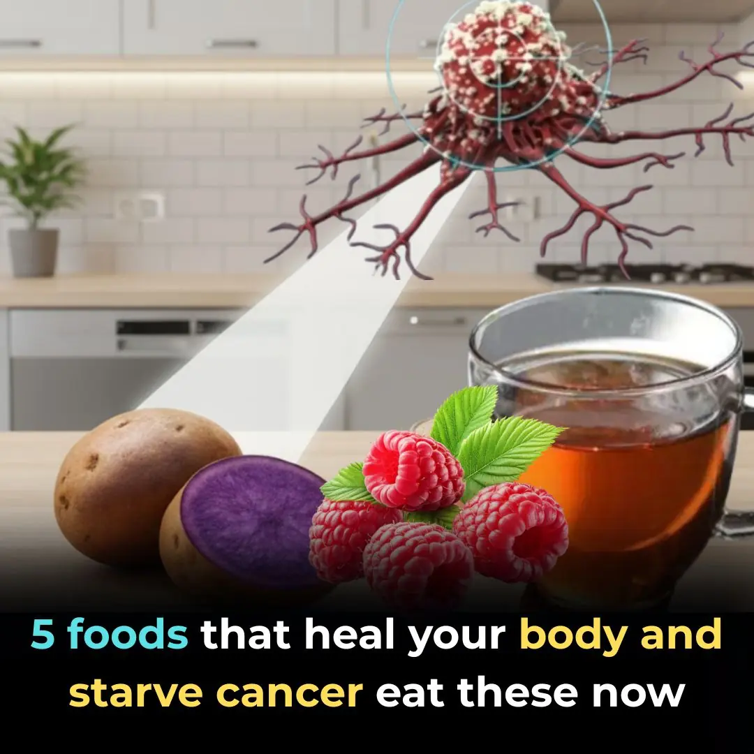 5 foods that heal your body and STARVE cancer—eat these now!