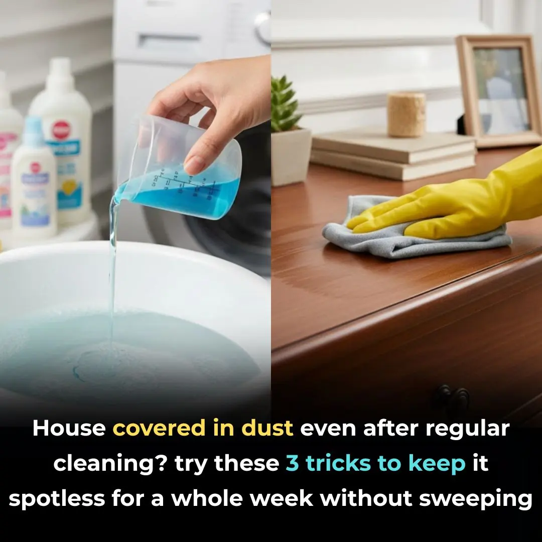 The house is full of dust even though it is cleaned regularly