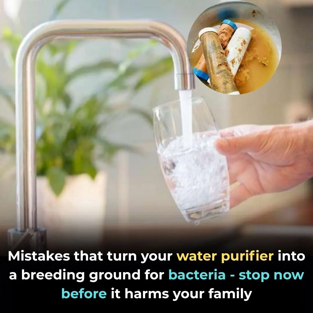 Wrong understanding turns water purifiers into diseases, remove them immediately to avoid harming the whole family