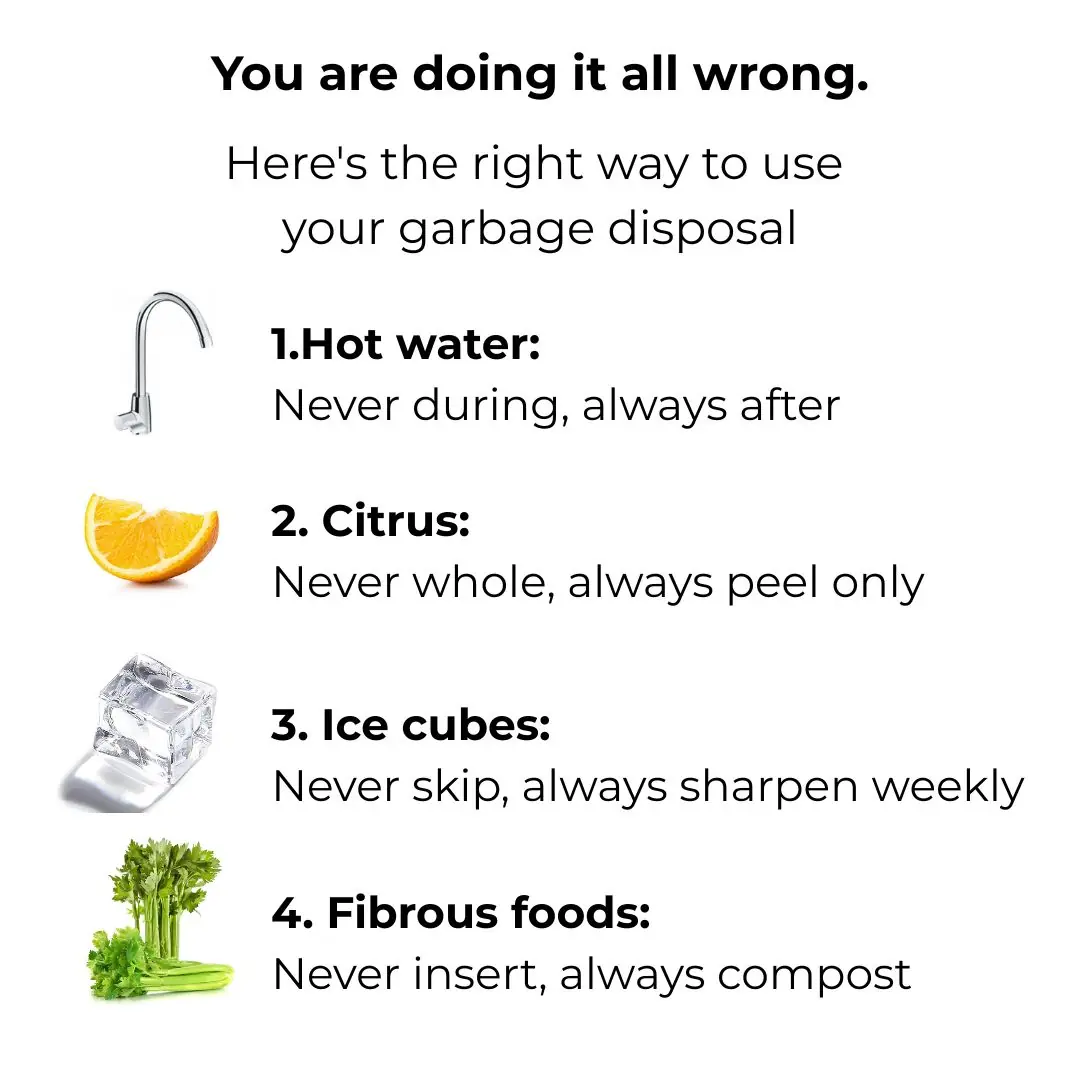 You are doing it all wrong. Here's the right way to use your garbage disposal