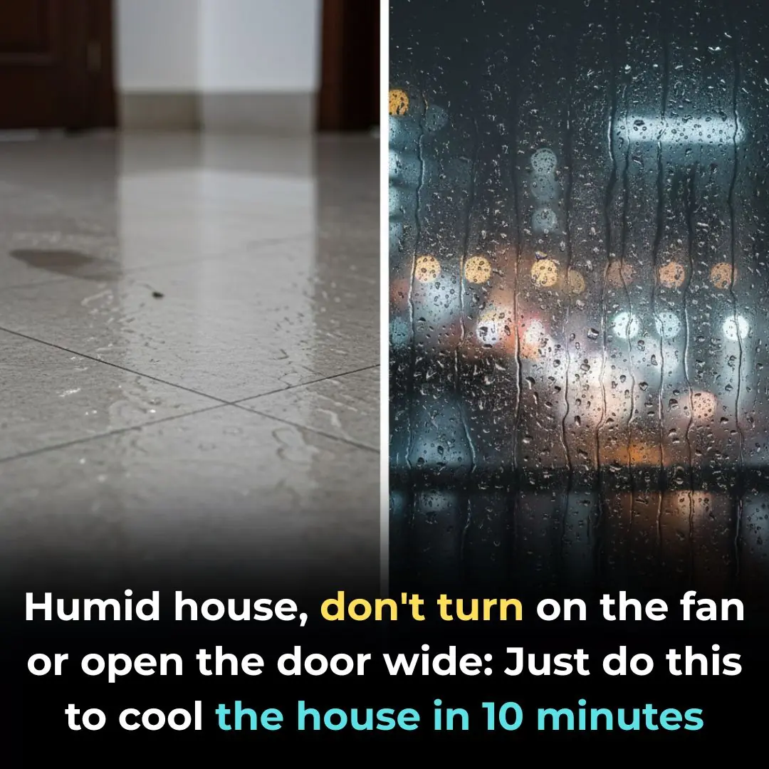 Humid house, don't turn on the fan or open the door wide: Just do this to cool the house in 10 minutes