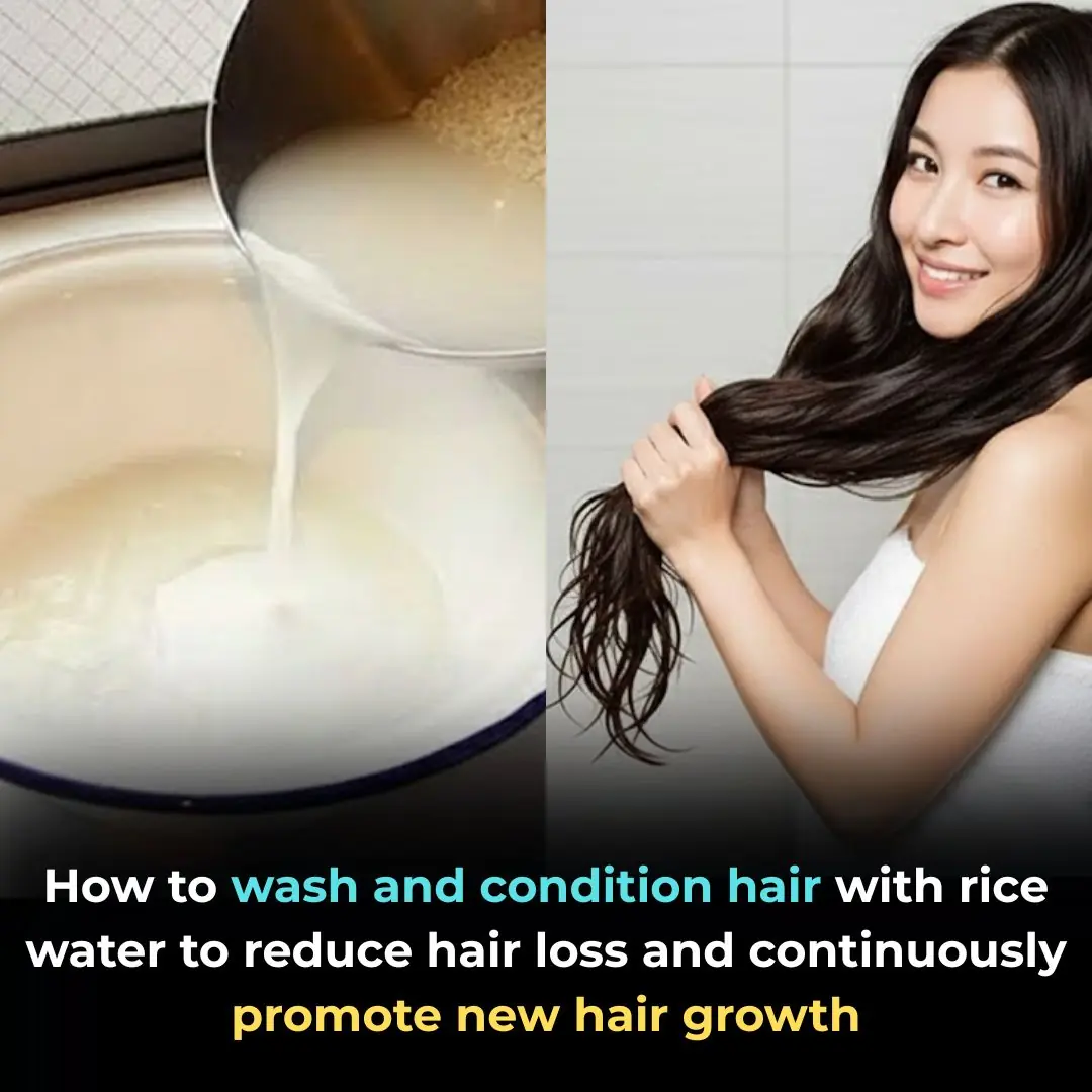 How to wash and condition hair with rice water to reduce hair loss and continuously promote new hair growth