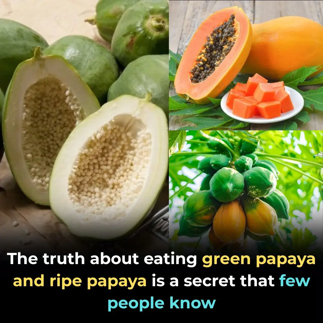 The truth about eating green papaya and ripe papaya is a secret that few people know
