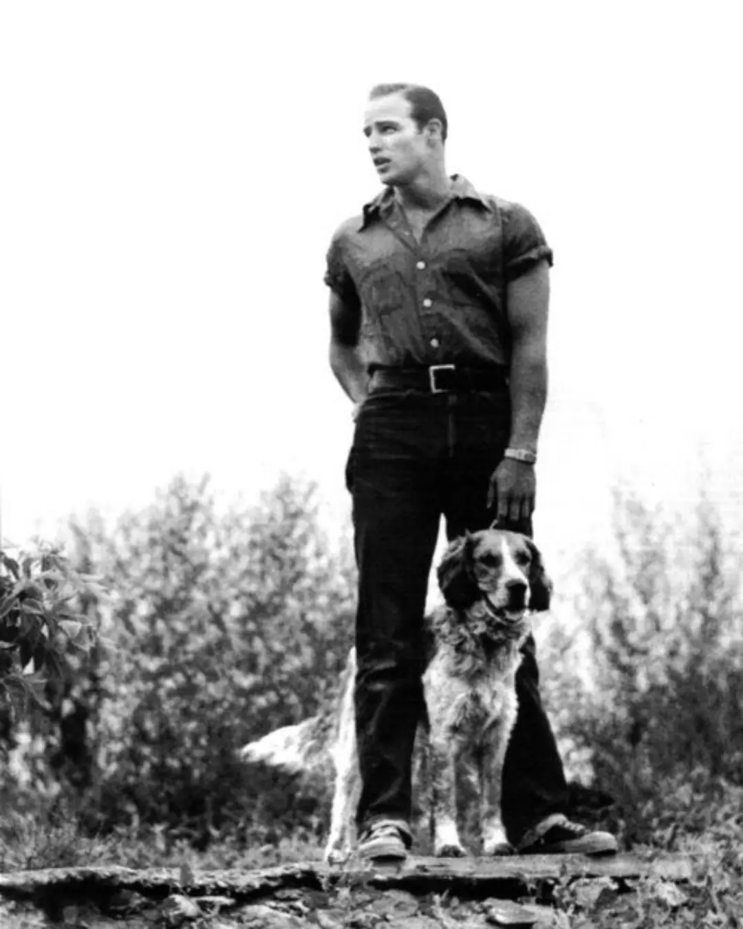 The Dog in the Fog: The Moment That Changed a Movie, a Man, and a Scene Forever.