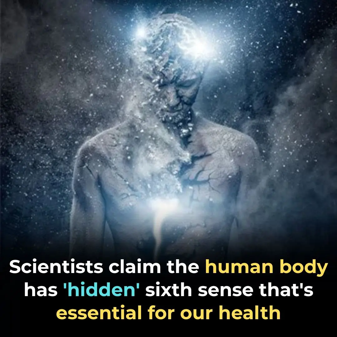 Scientists Reveal Interoception, the Amazing Sixth Sense of Humans