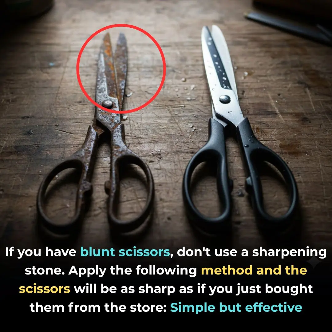 Don’t Use a Whetstone on Dull Scissors — Try This Simple Trick to Make Them Sharp as New