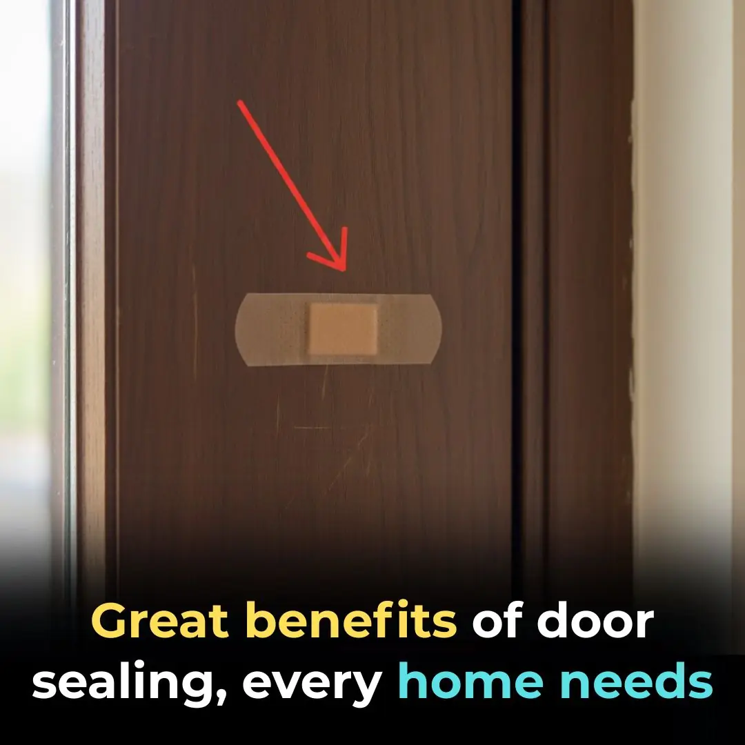 Amazing Benefits of Sticking Urgo Patches on Doors — Every Home Should Try This