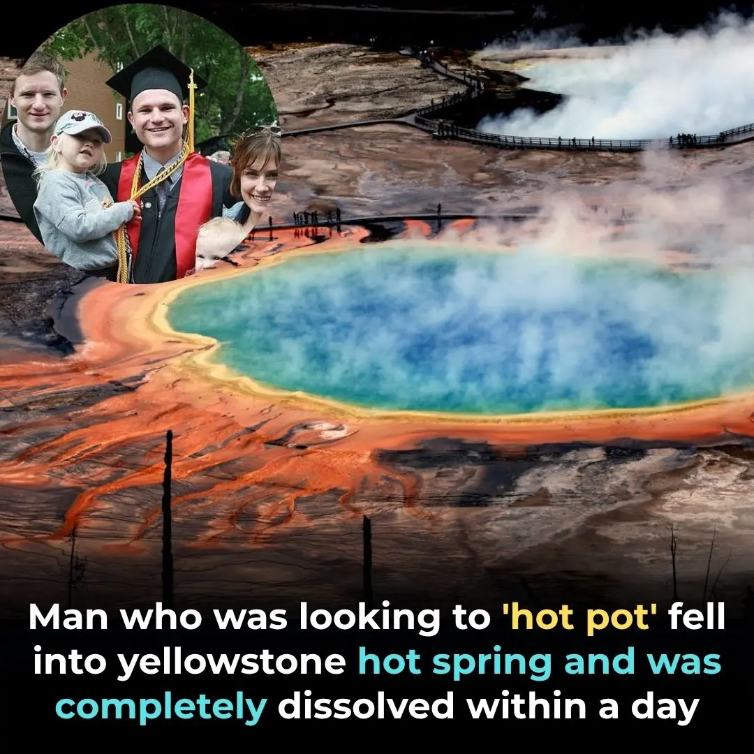 Tragic Yellowstone Hot Spring Accident: Man Dissolved in Hours