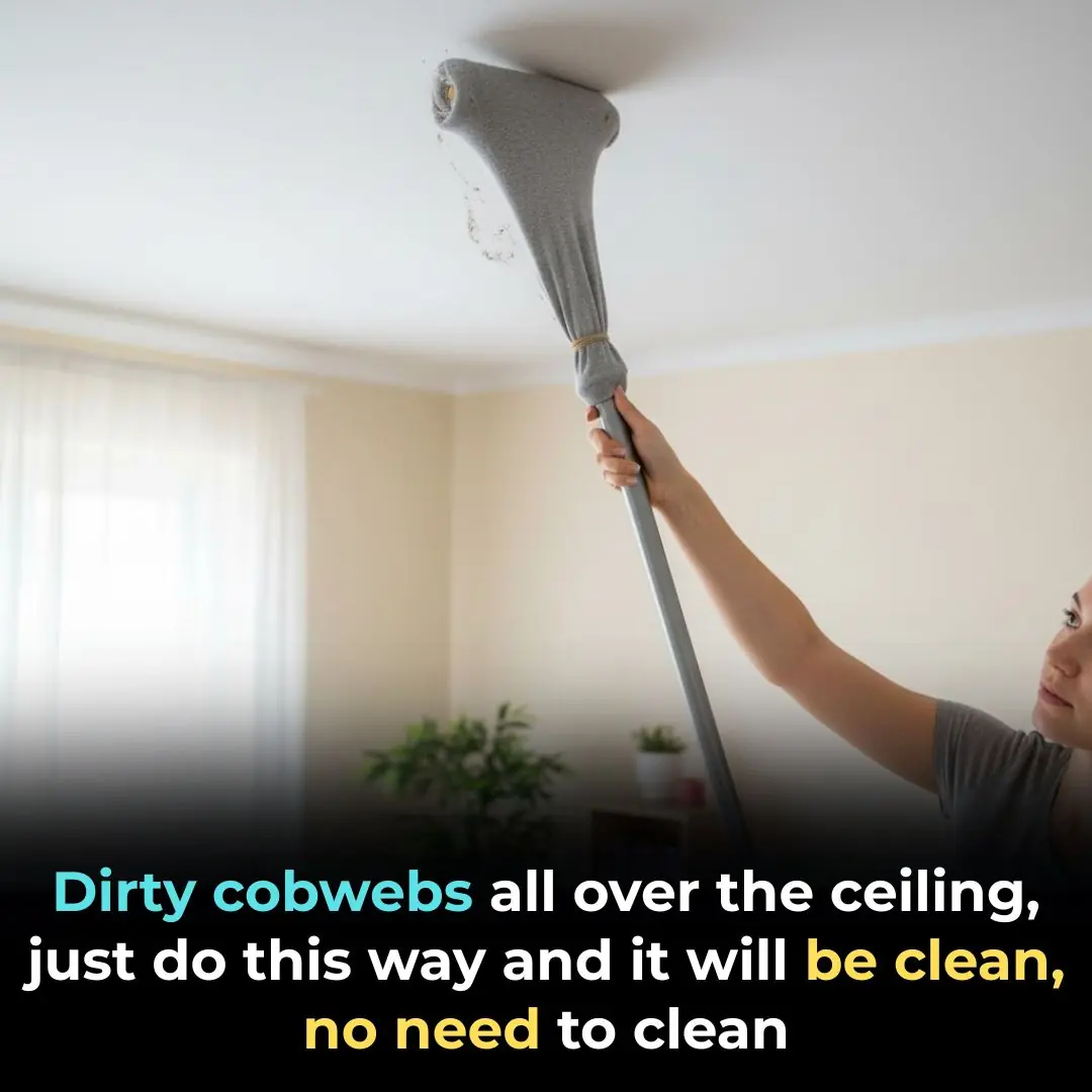 Dirty cobwebs all over the ceiling, just do this way and it will be clean, no need to clean