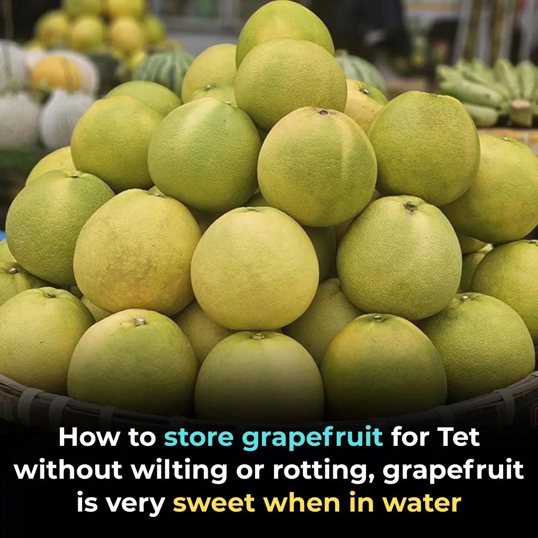 How to store grapefruit for Tet without wilting or rotting, grapefruit is very sweet when in water