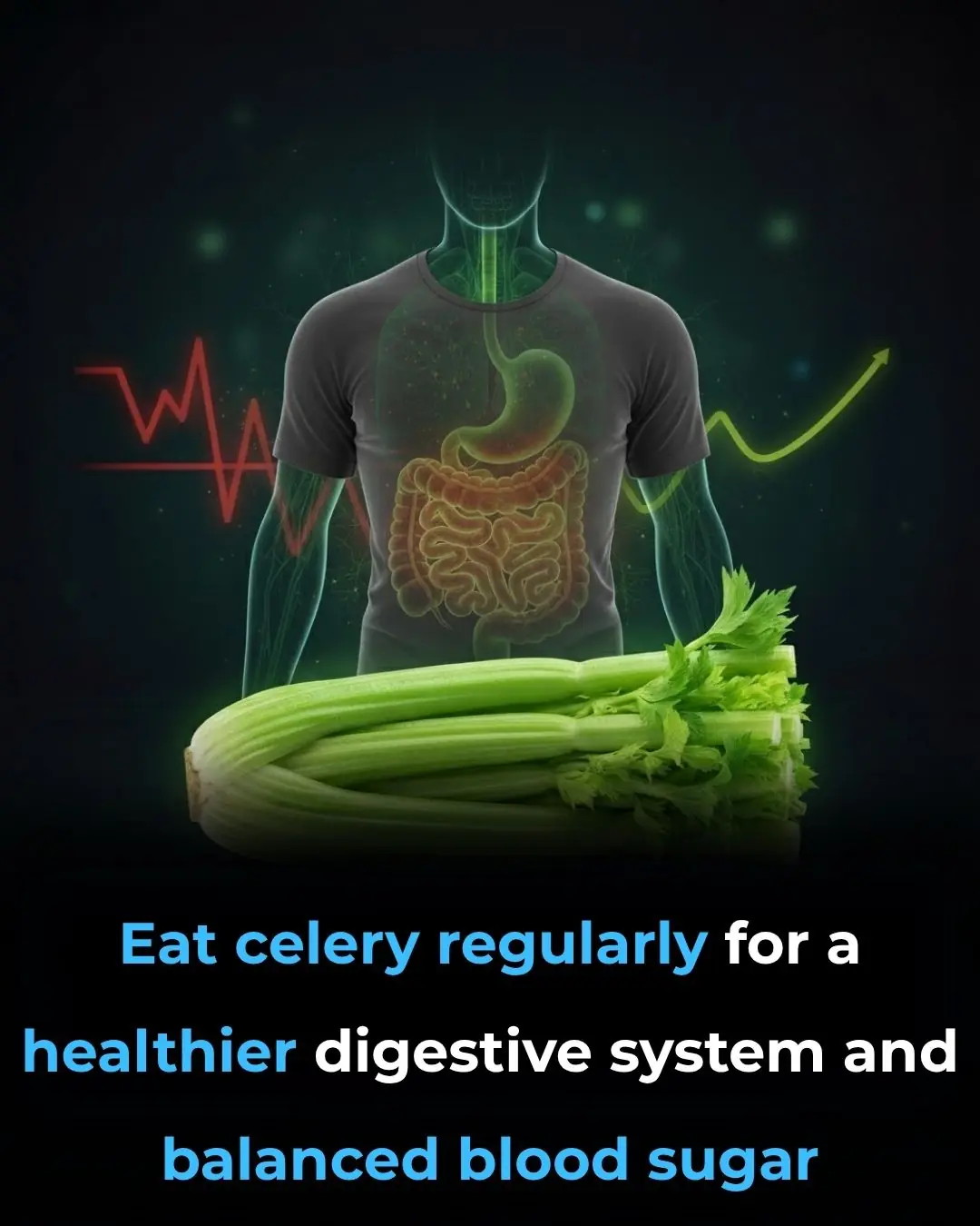 Eat Celery Regularly for a Healthier Digestive System and Lower Blood Sugar Levels