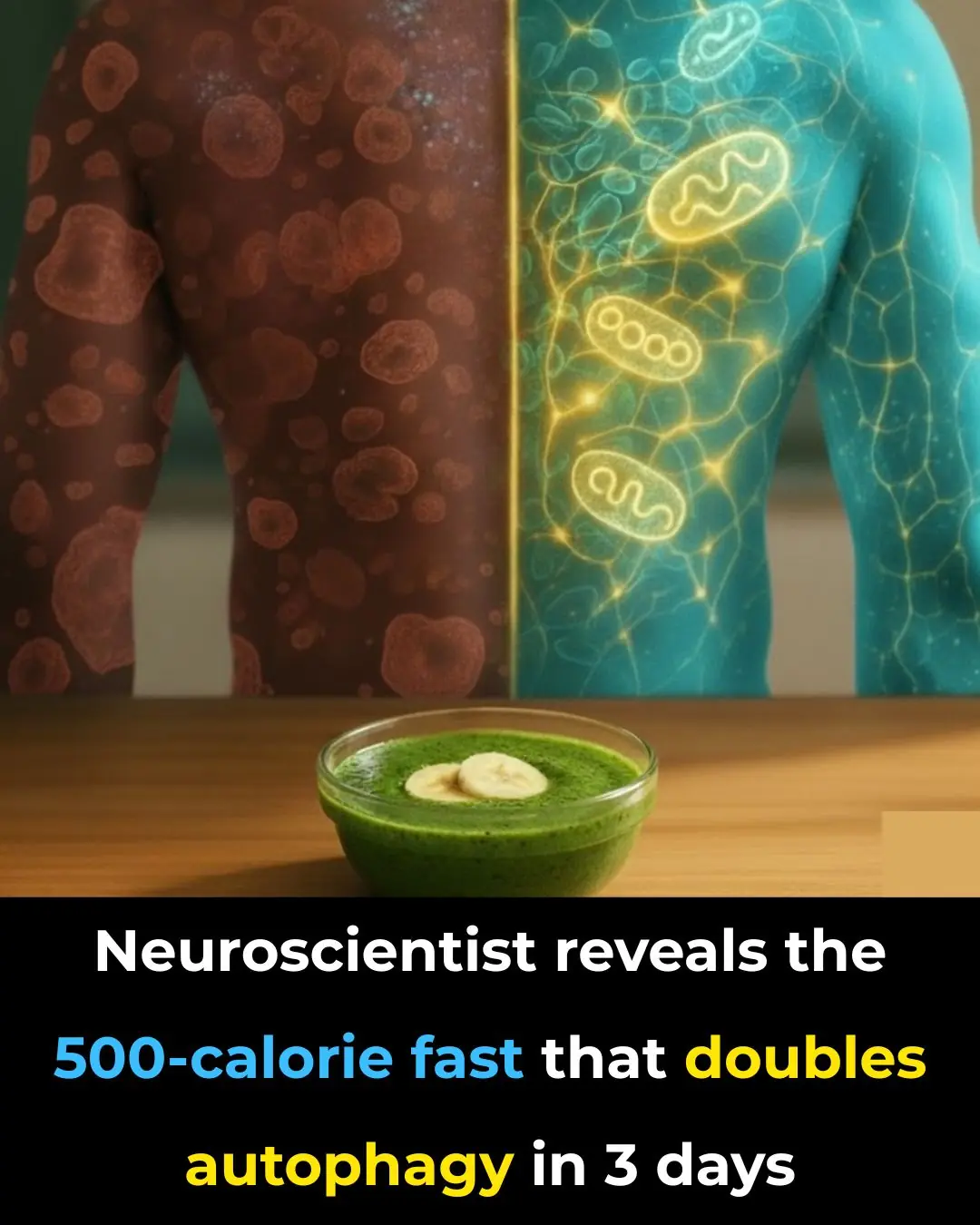 Neuroscientist reveals the 500-calorie “fast” that doubles autophagy and resets your metabolism in just 3 days