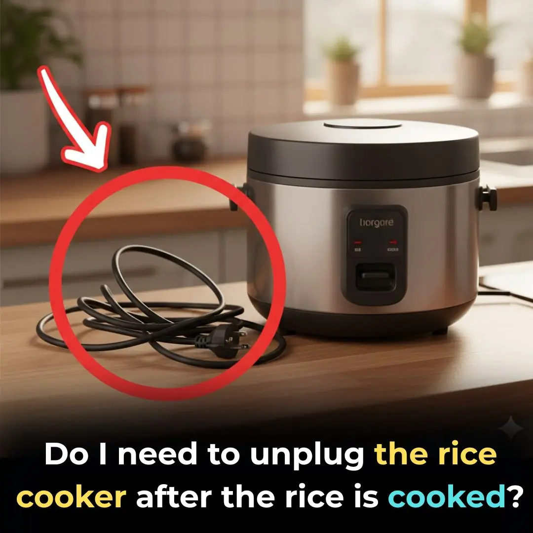 Should You Unplug the Rice Cooker After the Rice Is Cooked?