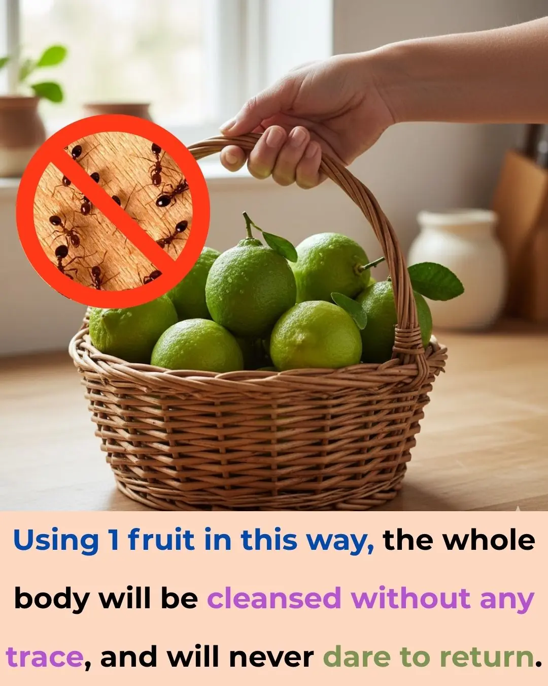 Using 1 fruit in this way, the whole body will be cleansed without any trace, and will never dare to return