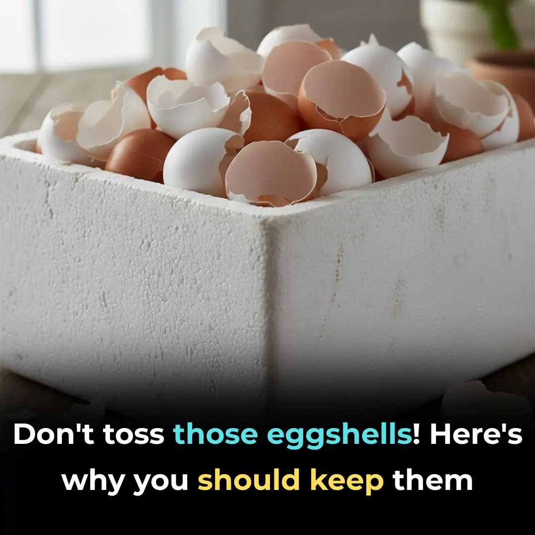 7 Ways to Repurpose Eggshells for a Greener Home and Garden