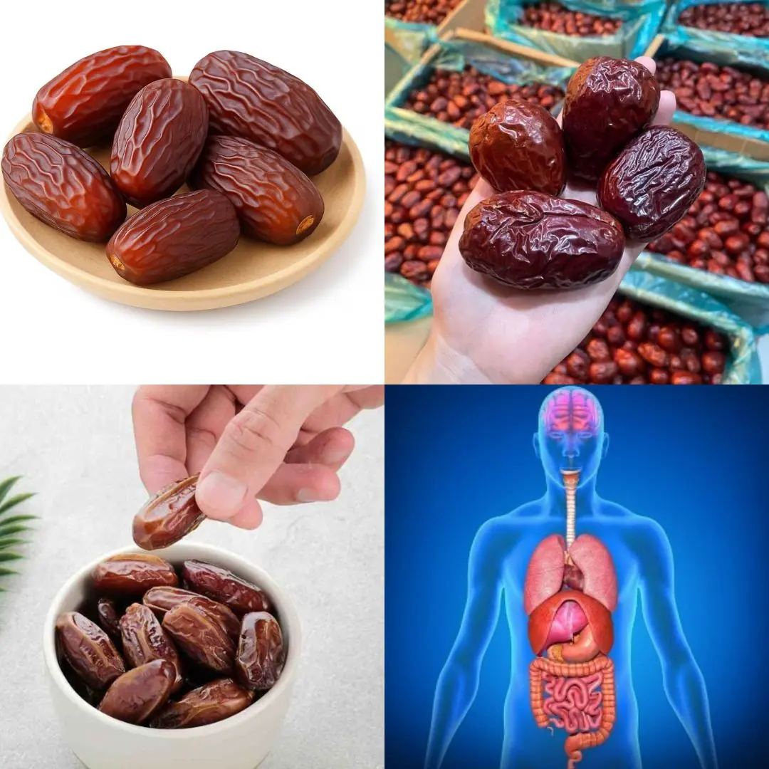 Proven Health Benefits of Dates (Dried, Fresh, Medjool) – Science Based