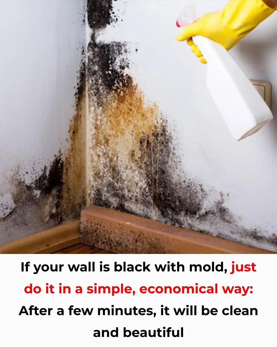Moldy and Damp Walls? Try These Simple, Budget-Friendly Tricks — Clean and Fresh in Just Minutes