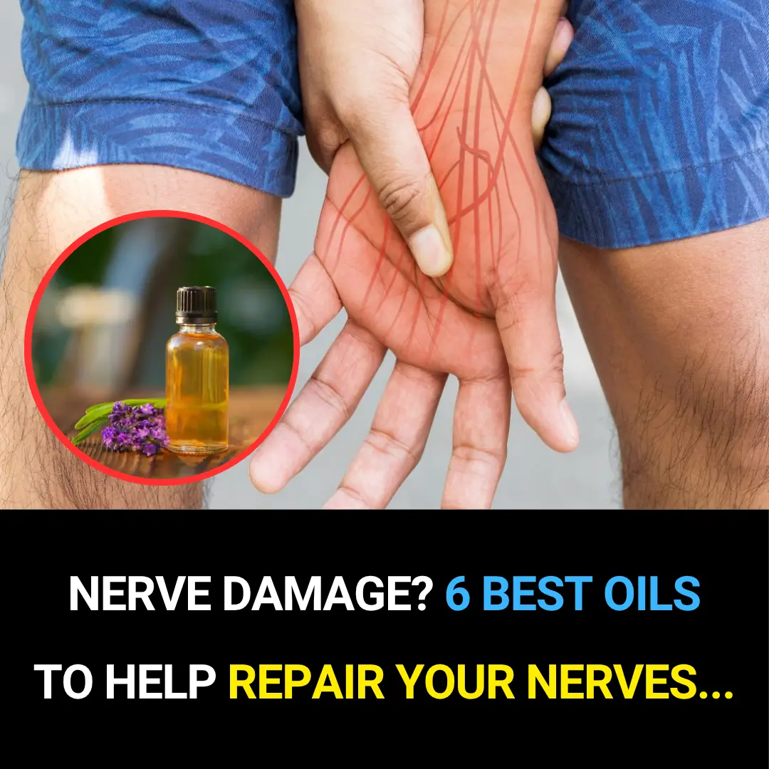 🧠 Nerve Damage? The 6 Best Essential Oils to Help Repair and Soothe Your Nerves