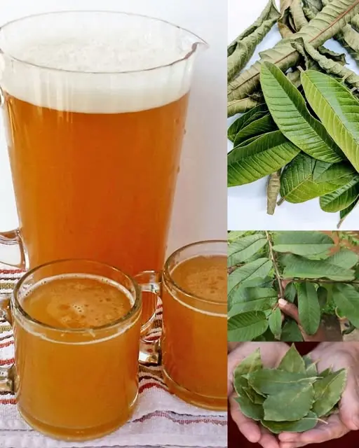 The four medicinal leaves: Avocado leaves, mango leaves, bay leaves, and guava leaves