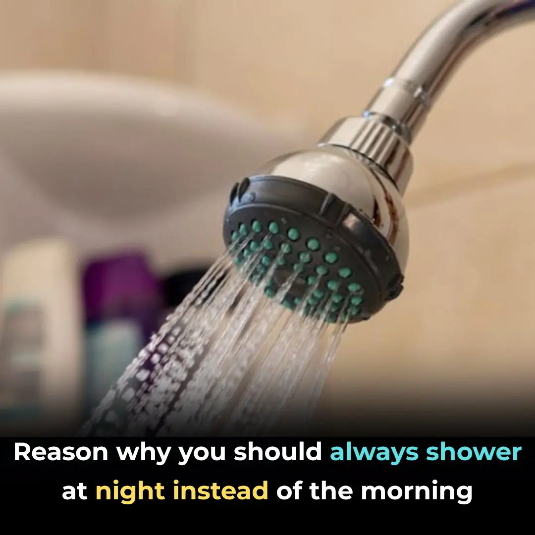 Reason Why You Should Always Shower At Night