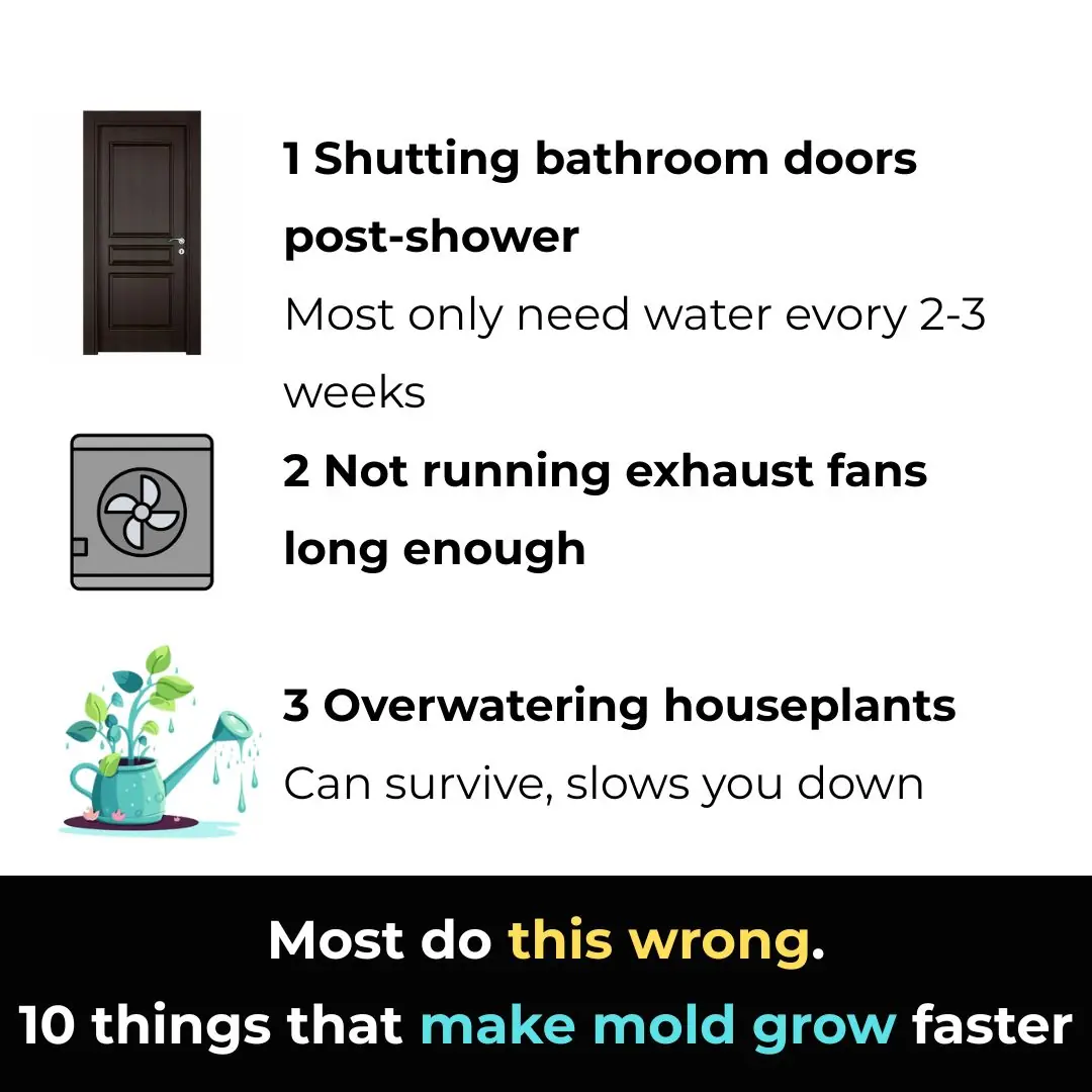 Most do this wrong. 10 things that make mold grow faster