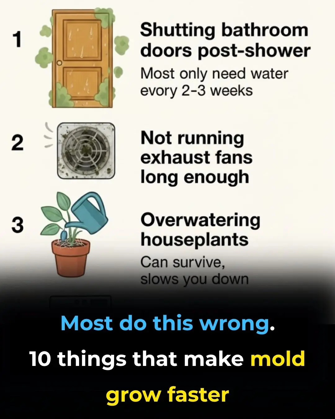 Most do this wrong. 10 things that make mold grow faster