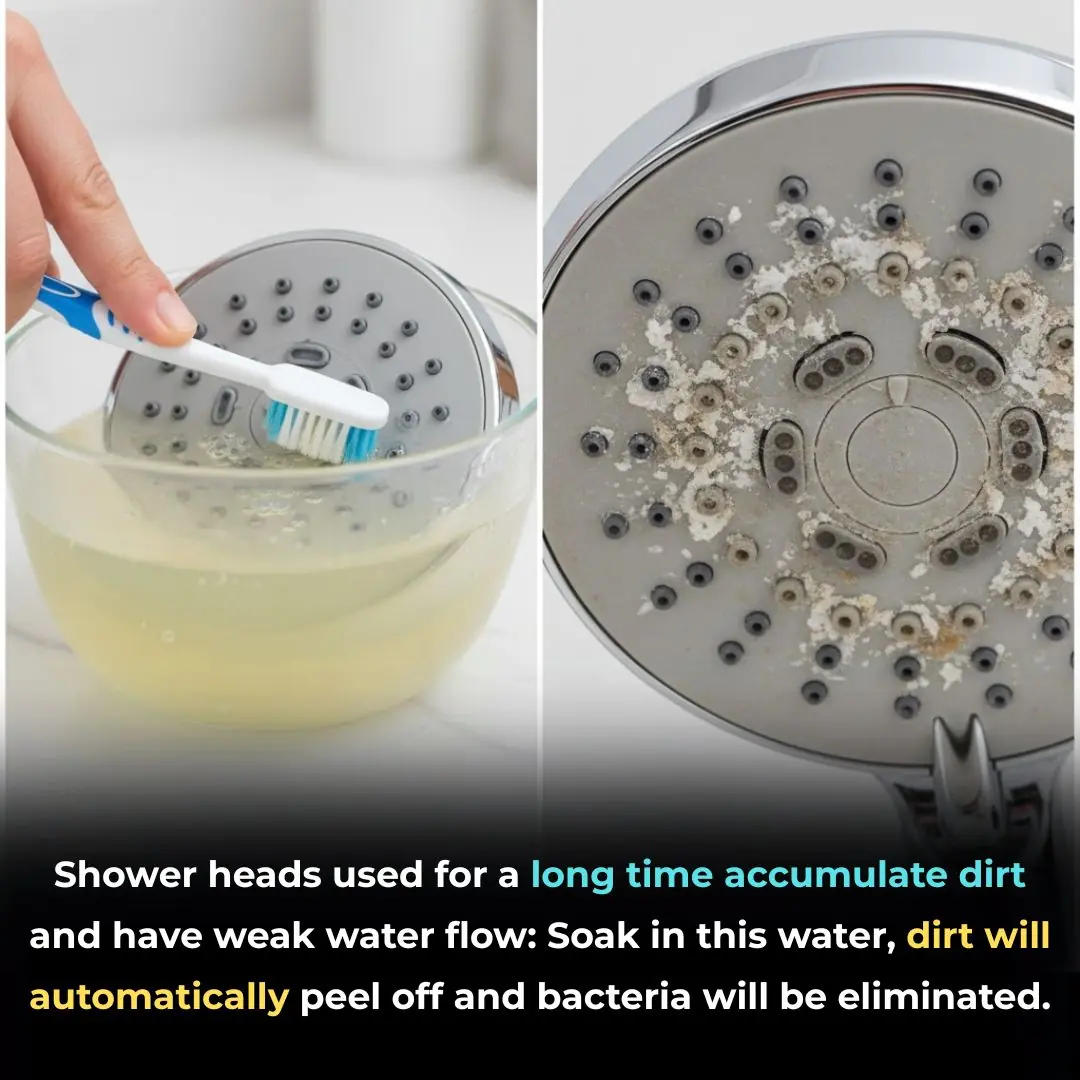 Shower heads used for a long time accumulate dirt and have weak water flow: Soak in this water, dirt will automatically peel off and bacteria will be eliminated.