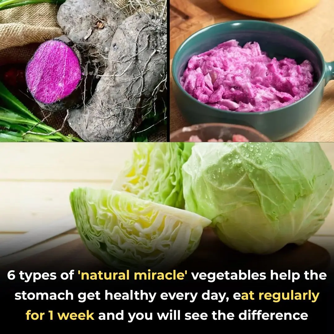 6 types of 'natural miracle' vegetables help the stomach get healthy every day, eat regularly for 1 week and you will see the difference