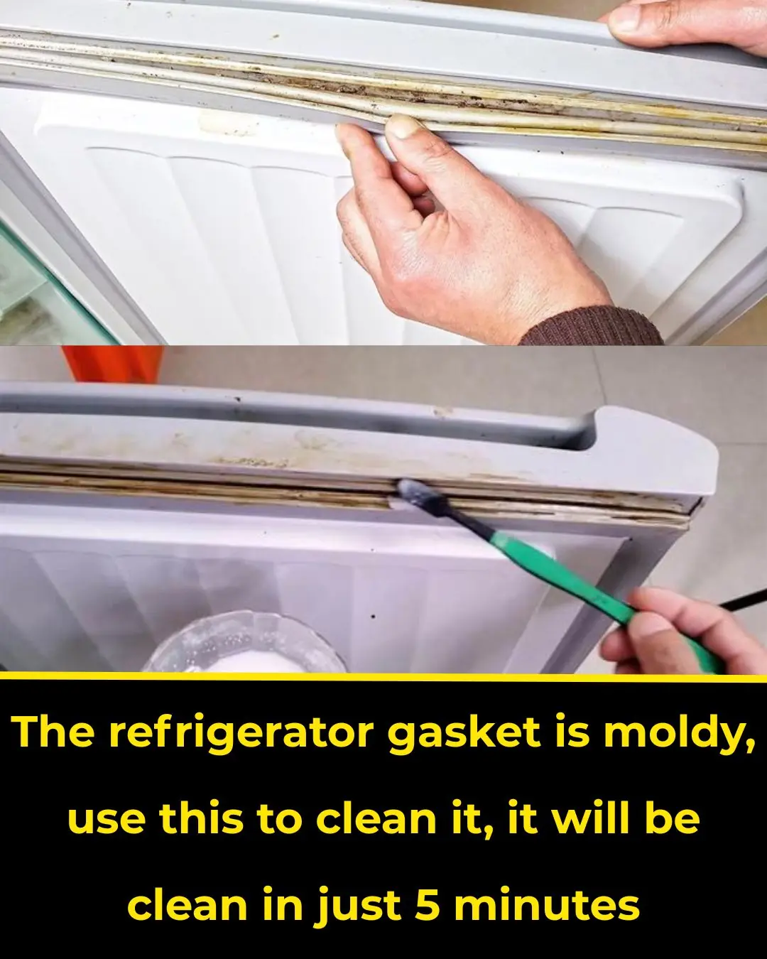 The refrigerator gasket is moldy, use this to clean it, it will be clean in just 5 minutes