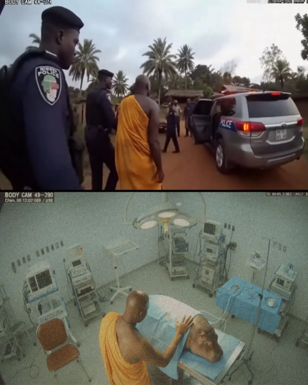 The Heartbeat of Compassion: The Unlikely Hero Who Saved a Hippo's Life