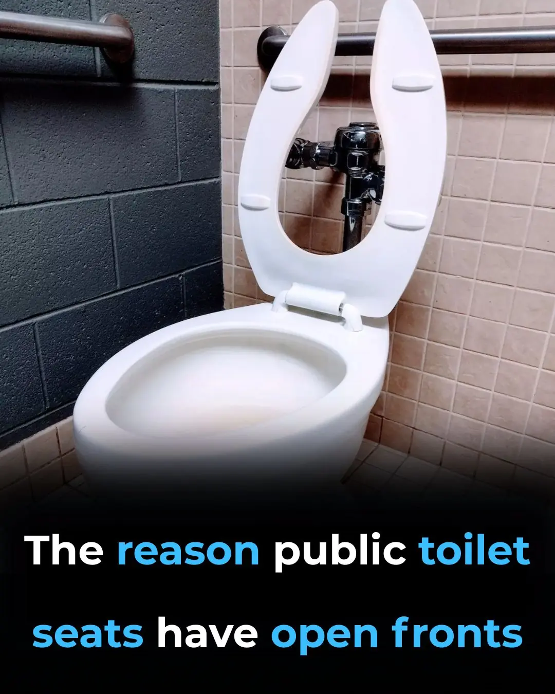 The Mystery Behind Open-Front Toilet Seats Finally Solved