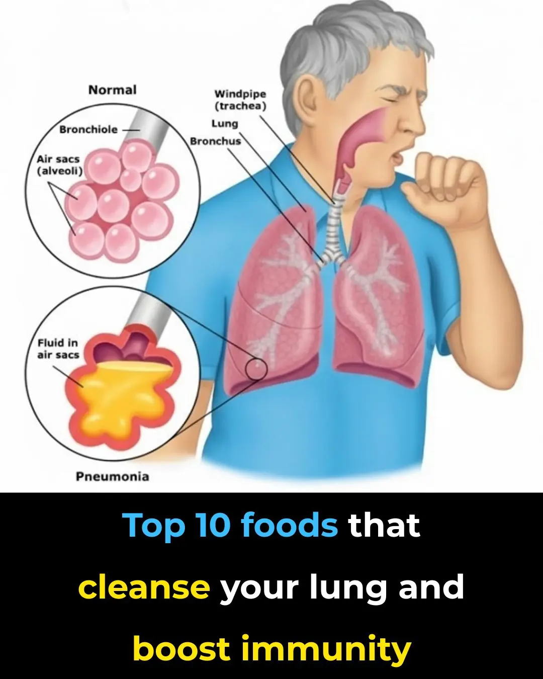 The Most Effective Foods to Cleanse your Lungs (Research Based)