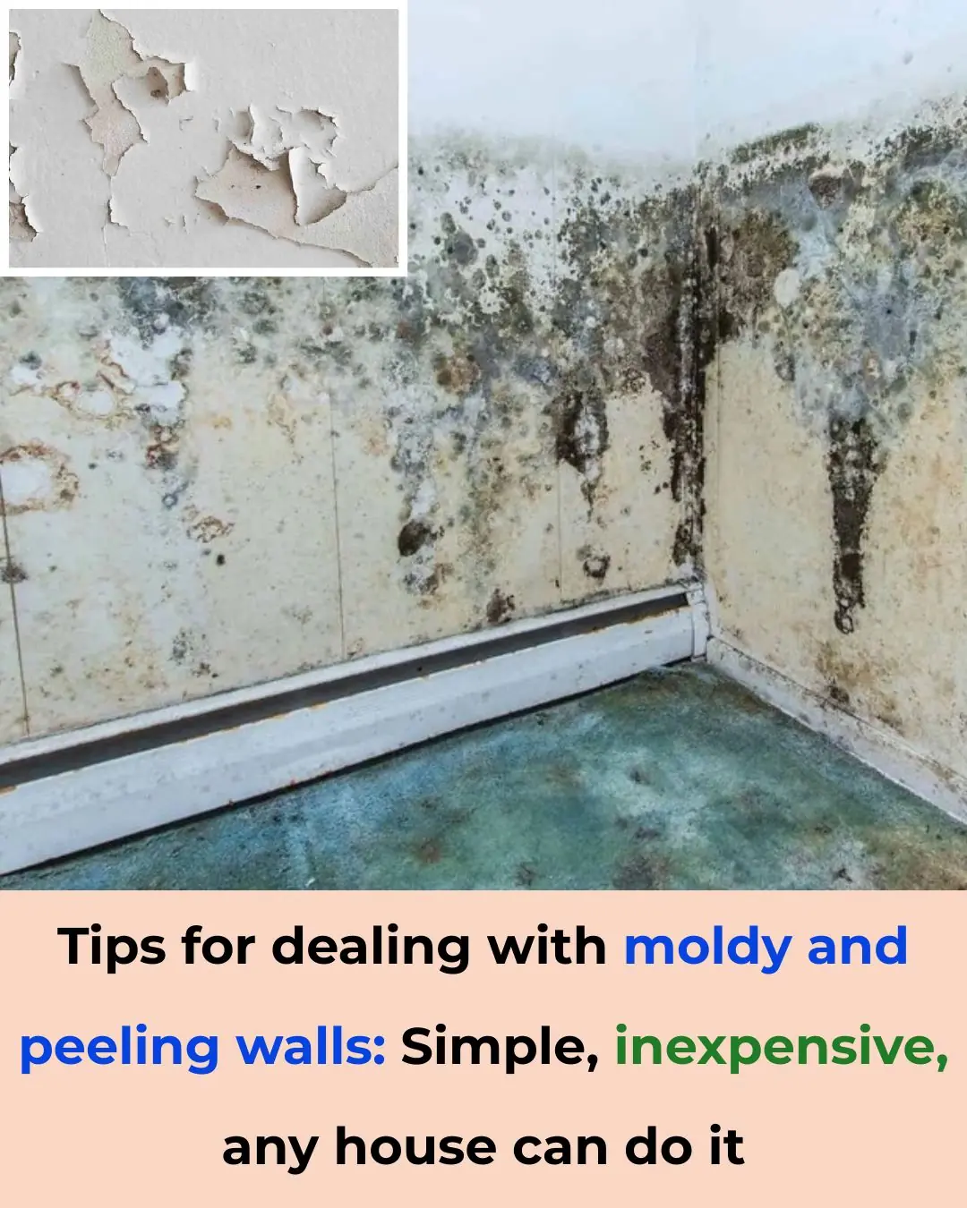 Tips for dealing with moldy and peeling walls: Simple, inexpensive, any house can do it