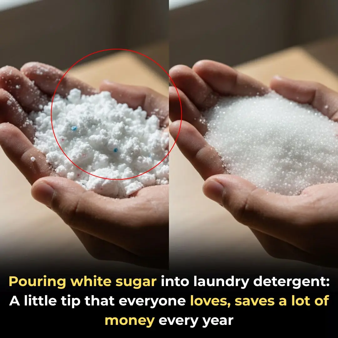 Pouring white sugar into laundry detergent: A little tip that everyone loves, saves a lot of money every year