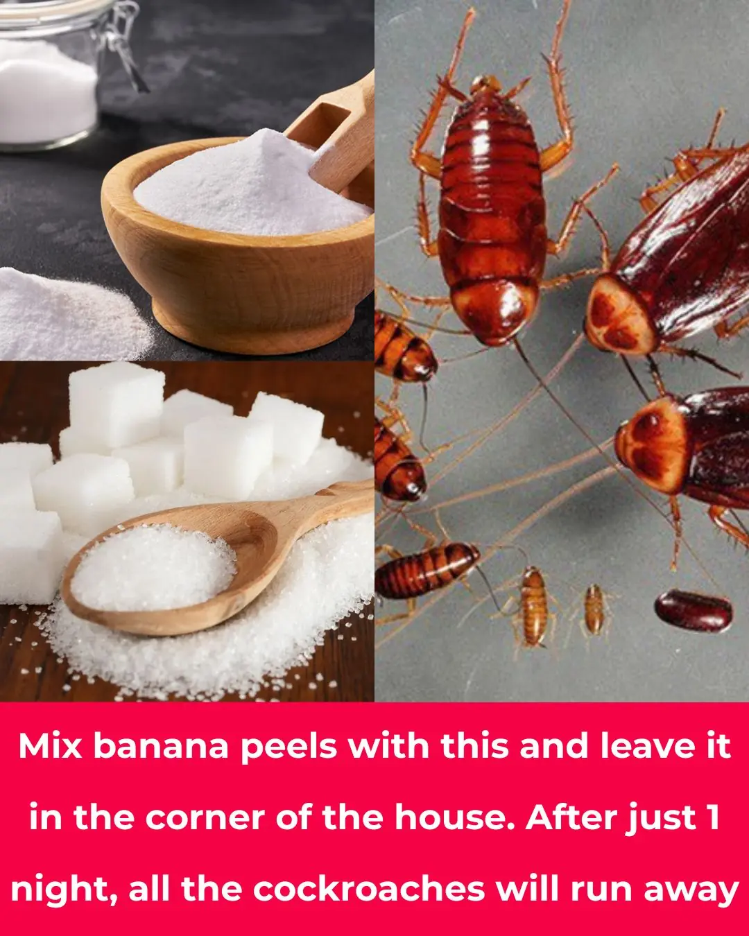 Mix banana peel with this and keep it in the corner of the house