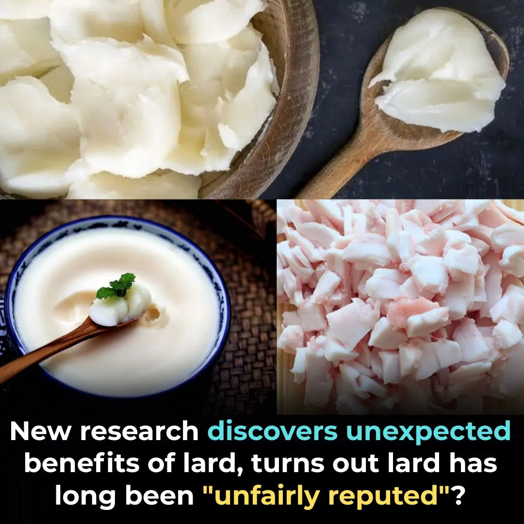New research discovers unexpected benefits of lard
