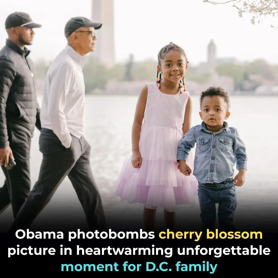 Obama Photobombs Cherry Blossom Picture in Heartwarming Unforgettable Moment for D.C. Family