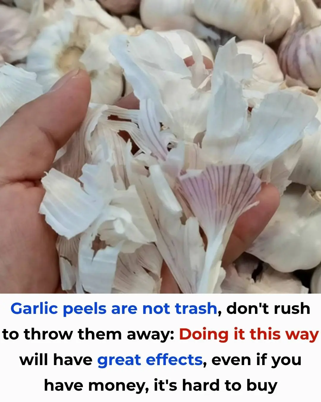 Garlic Peels Are Not Trash – Don’t Throw Them Away!