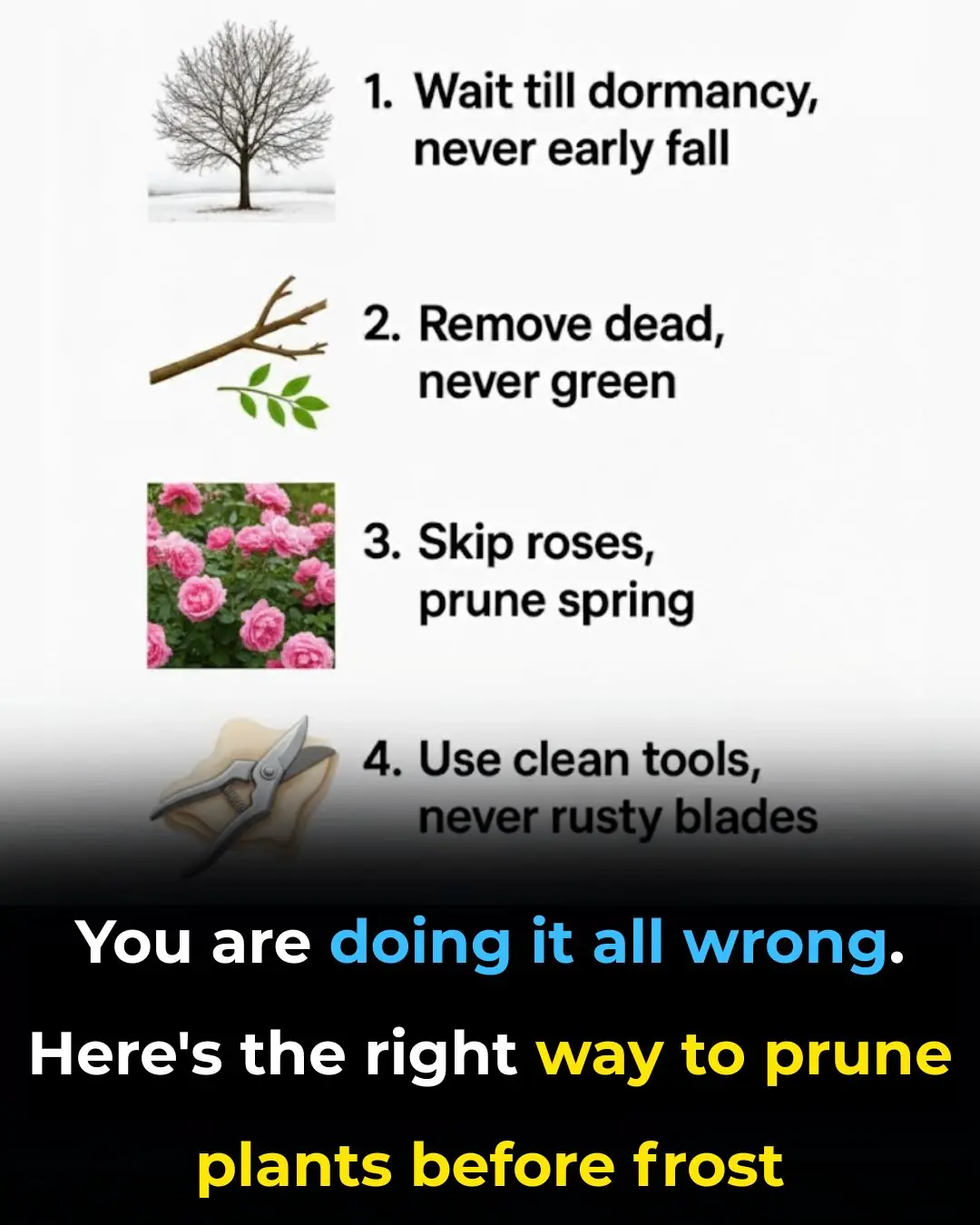 You Are Doing It All Wrong. Here’s the Right Way to Prune Plants Before Frost