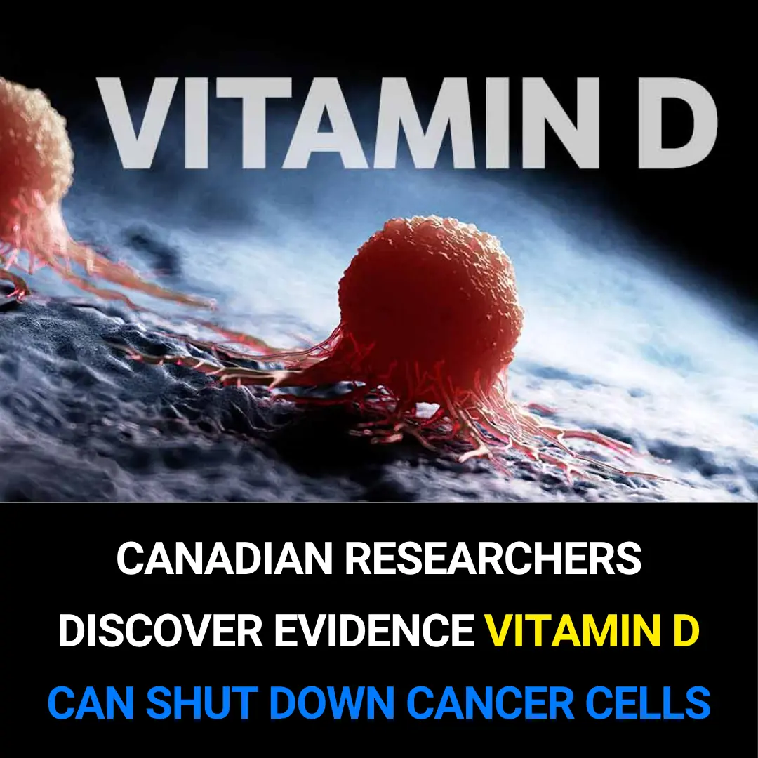 New Study Shows Vitamin D Suppresses Key Cancer-Driving Protein