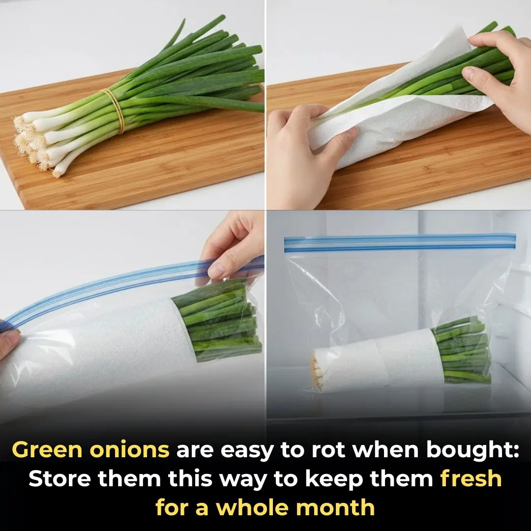 Green onions are easy to rot when bought: Store them this way to keep them fresh for a whole month