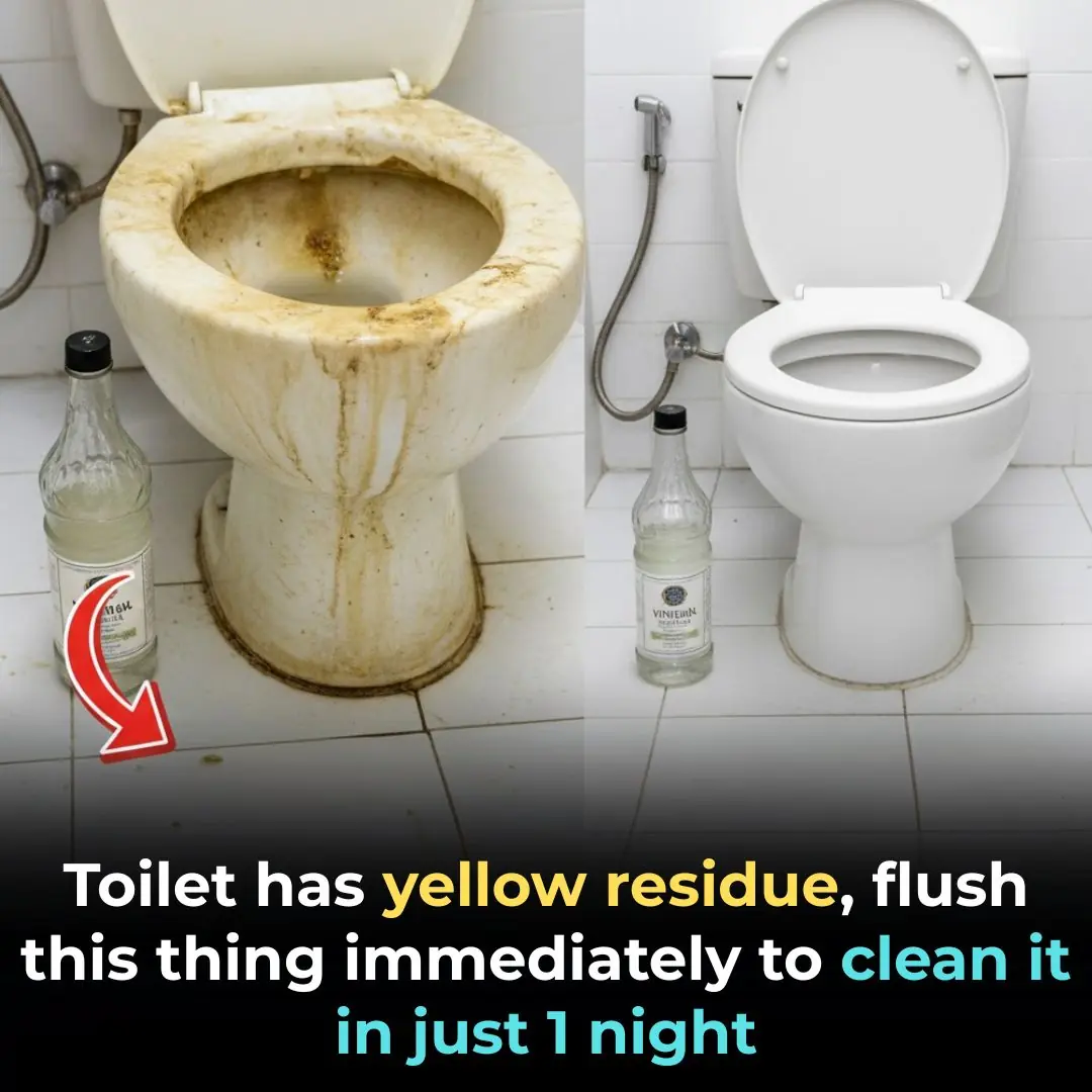 Toilet has yellow residue, flush this thing immediately to clean it in just 1 night