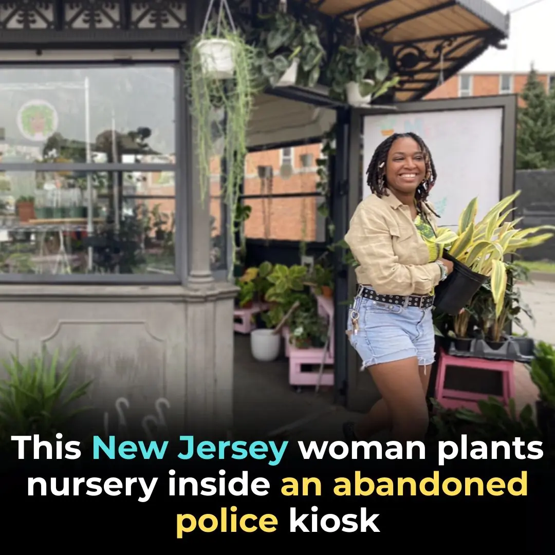 This New Jersey Woman Plants Nursery Inside An Abandoned Police Kiosk