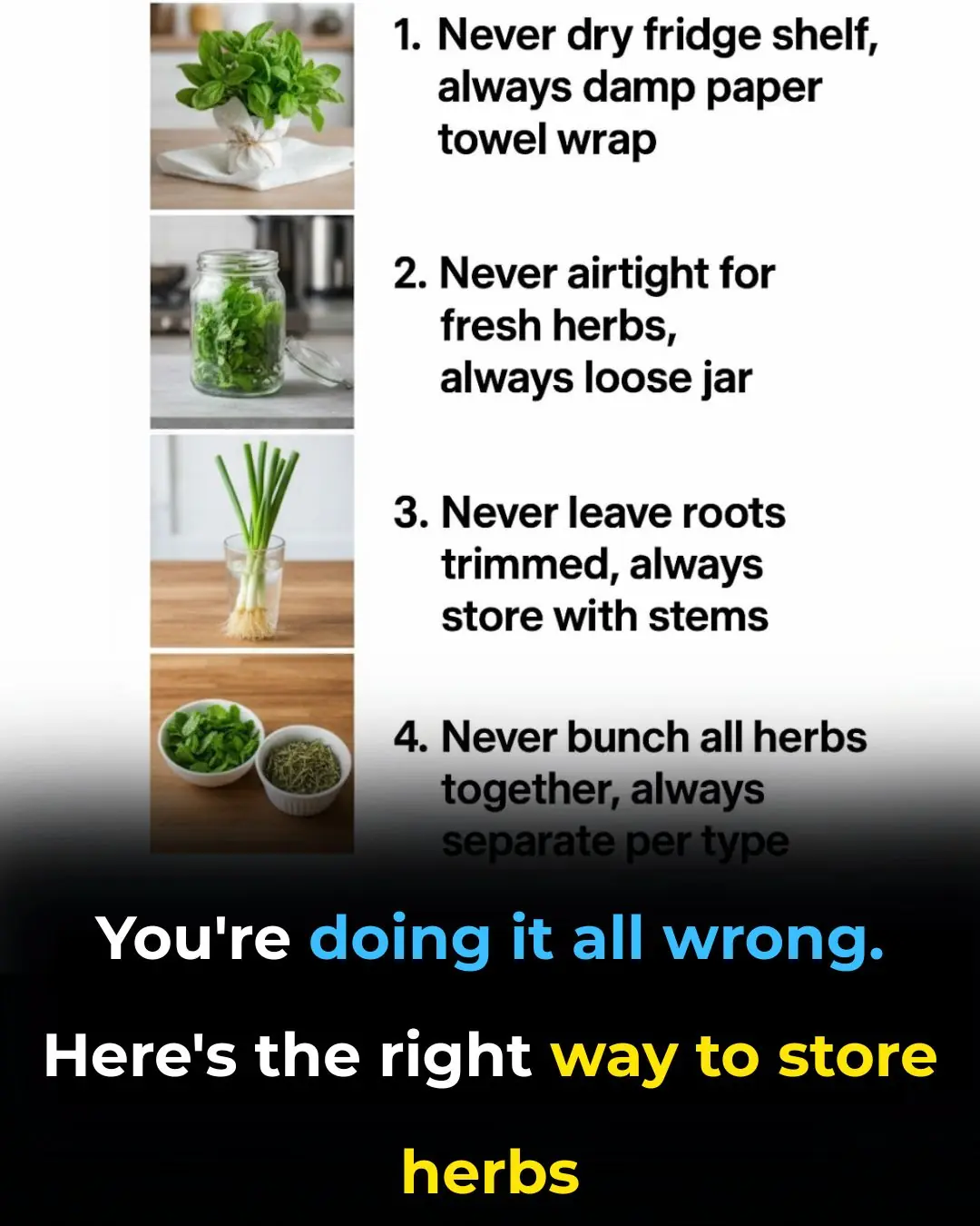 You're doing it all wrong. Here’s the right way to store herbs