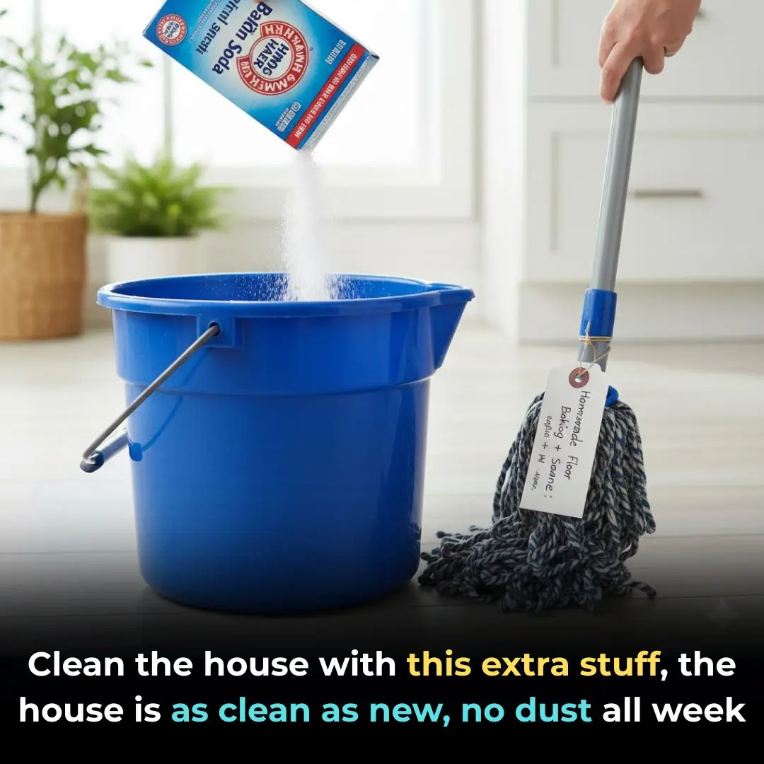 The mop soaks this into the water.