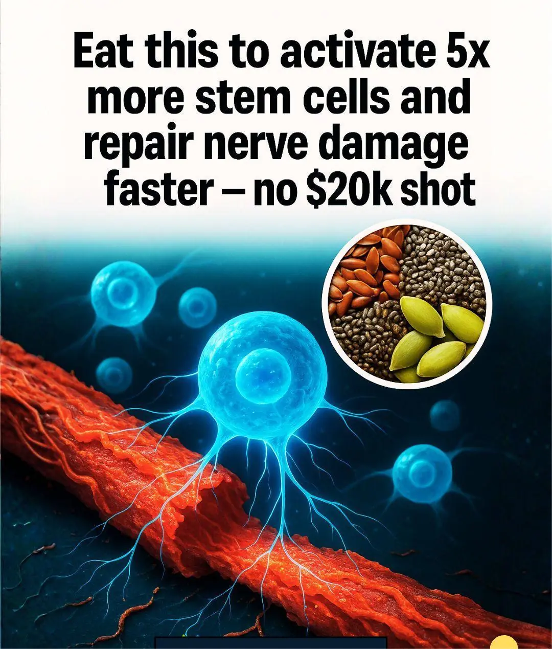 Eat this to activate 5x more stem cells and repair nerve damage faster — no $20k shot