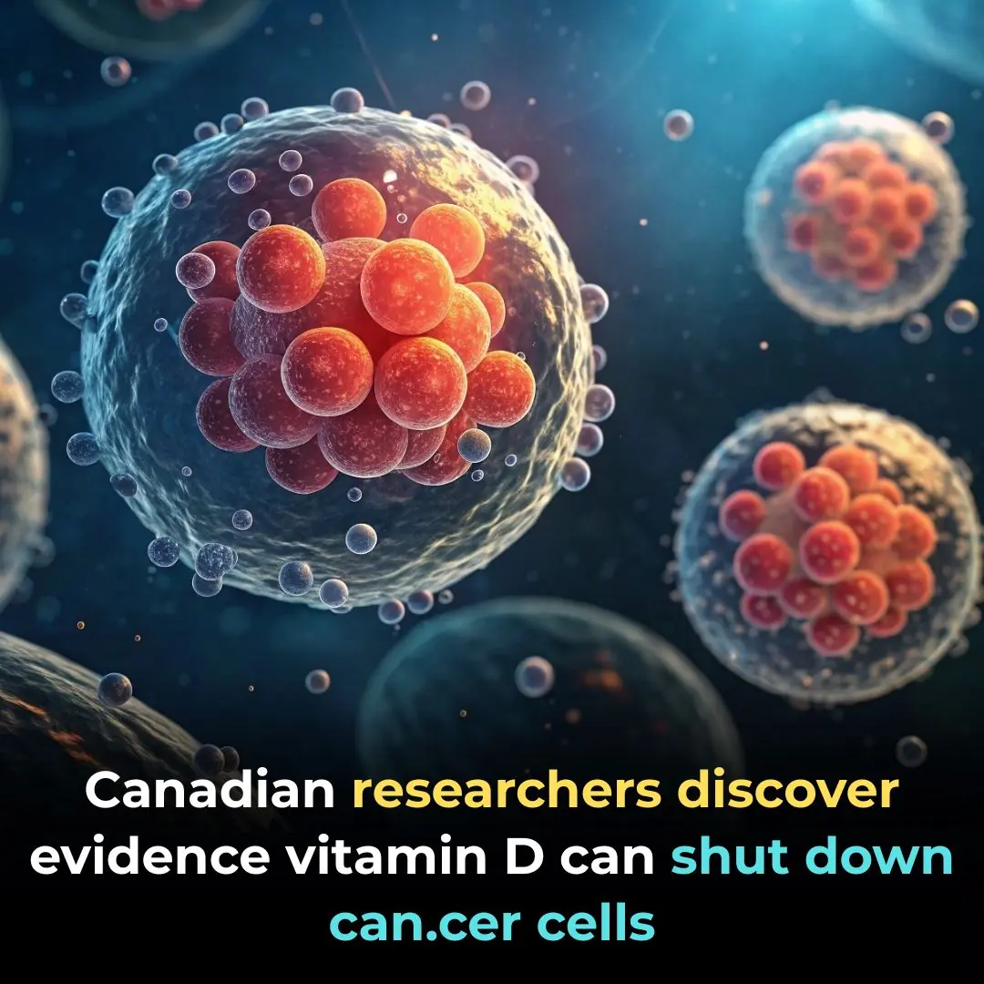 Canadian Researchers Discover New Evidence That Vitamin D Shuts Down Cancer Cells