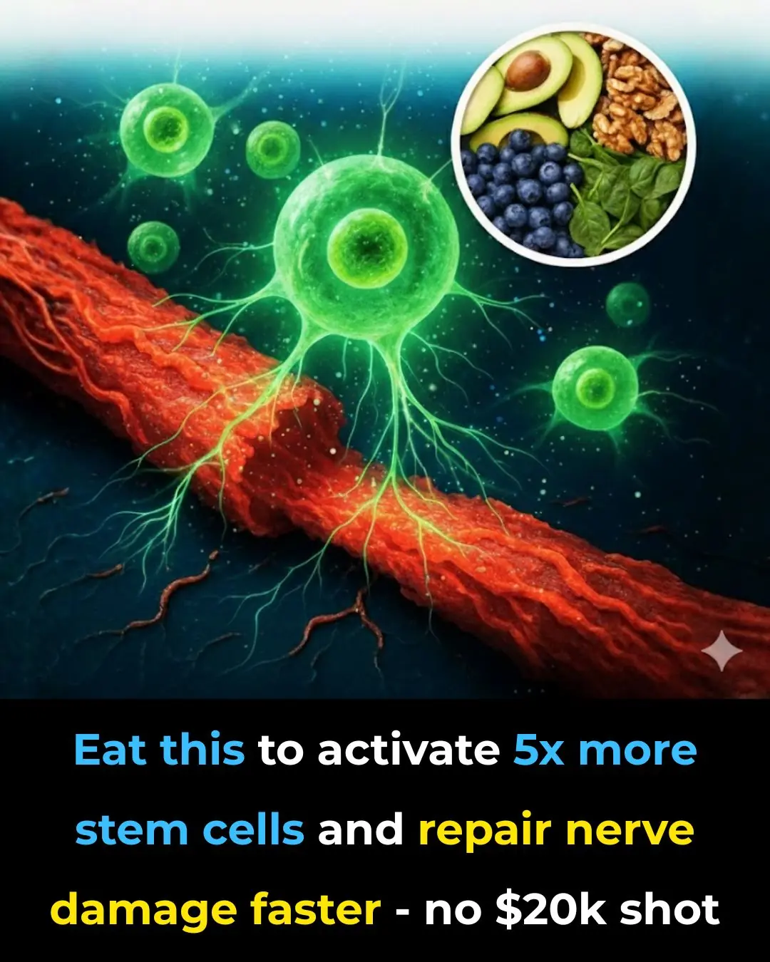 Eat this to activate 5x more stem cells and repair nerve damage faster — no $20k shot