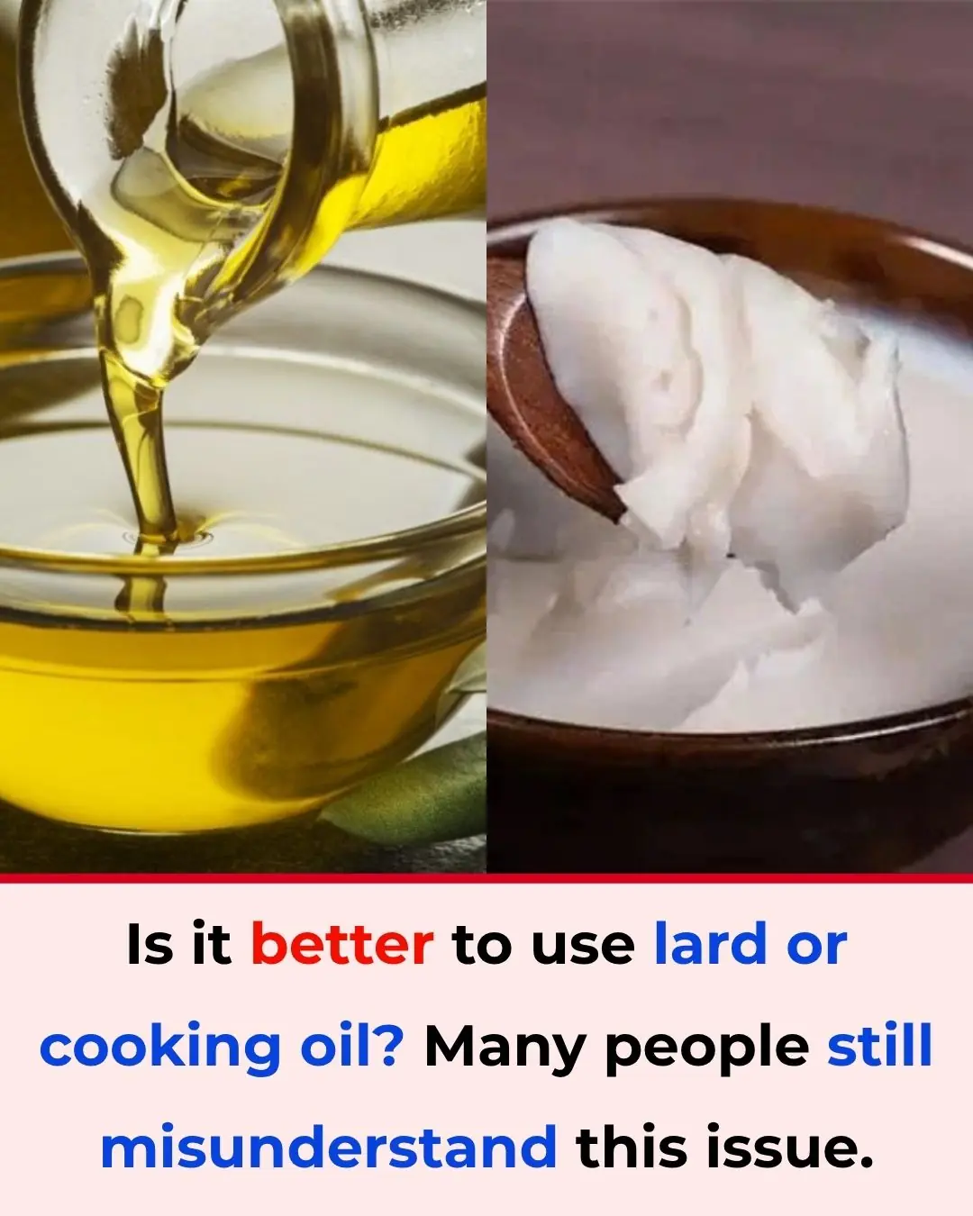 Lard or Vegetable Oil: Which Is Better? Many People Still Misunderstand This Common Cooking Question